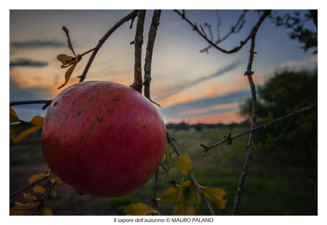 Tenuta Kyrios Borgagne Buitenkant foto
