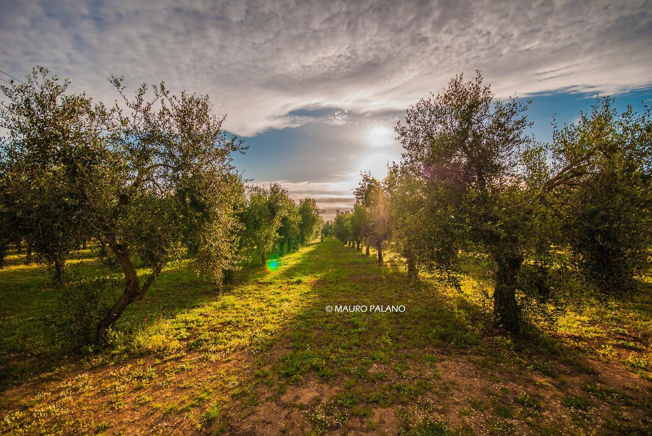 Tenuta Kyrios Borgagne Buitenkant foto
