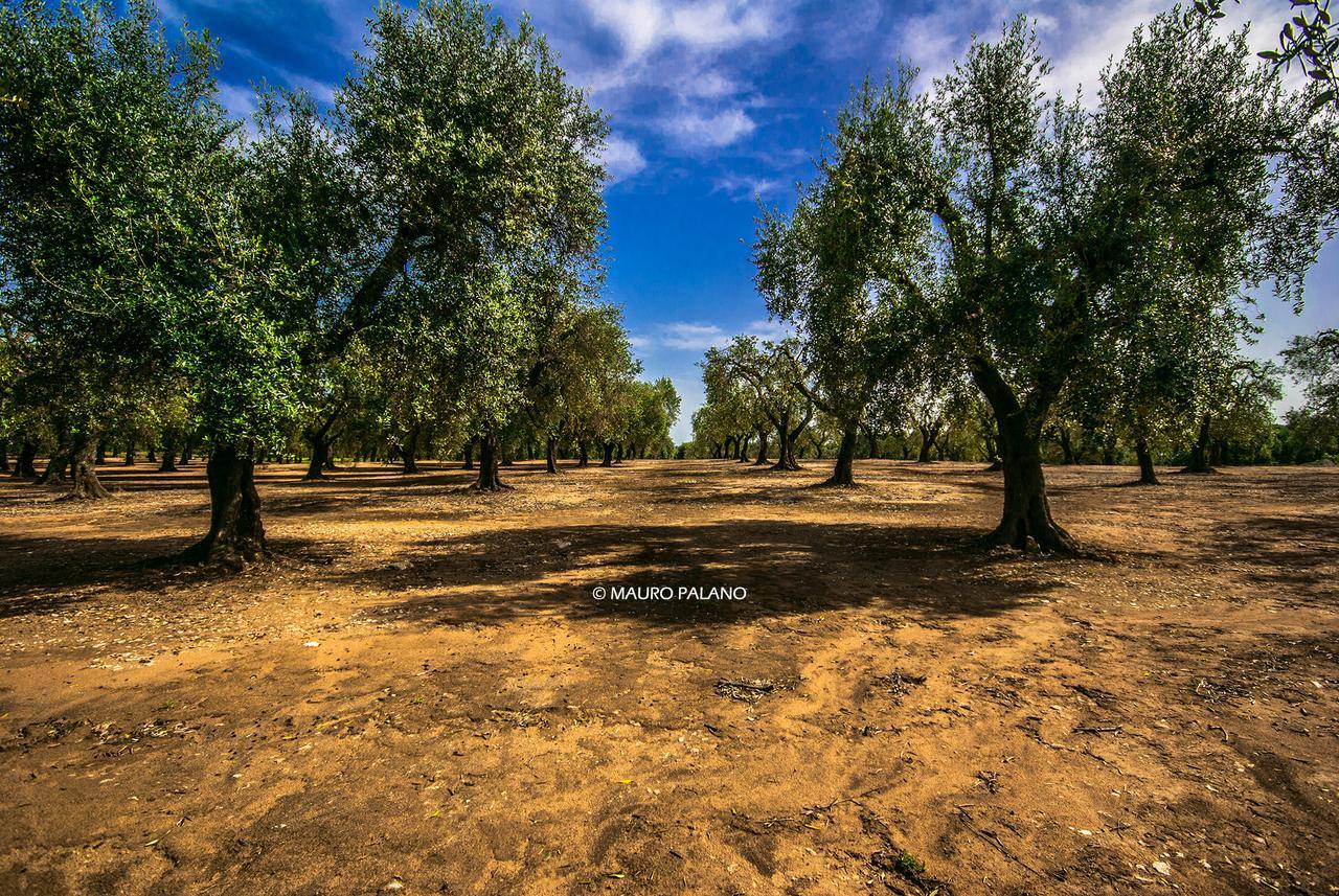 Tenuta Kyrios Borgagne Buitenkant foto