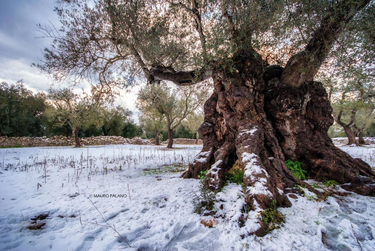 Tenuta Kyrios Borgagne Buitenkant foto