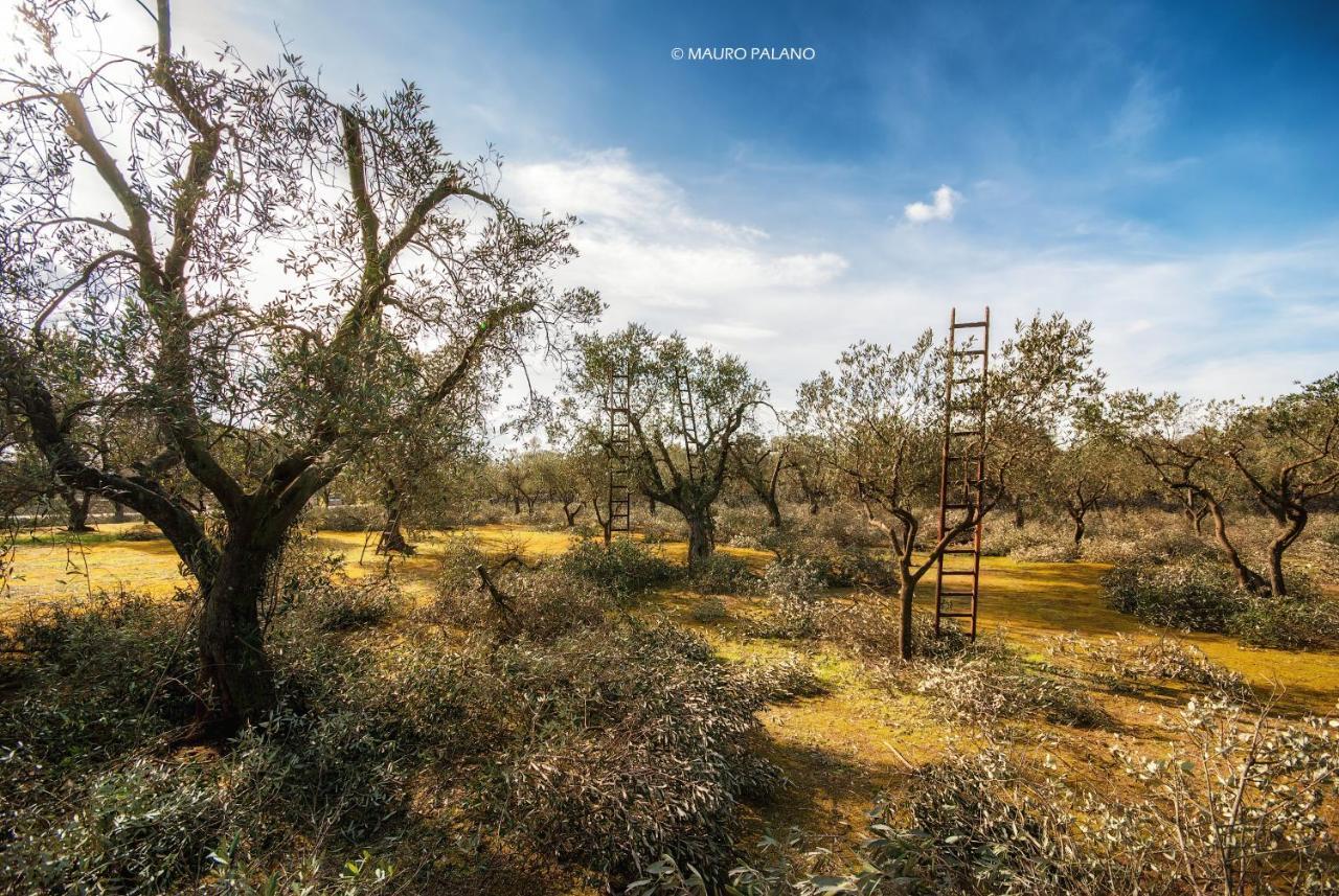 Tenuta Kyrios Borgagne Buitenkant foto