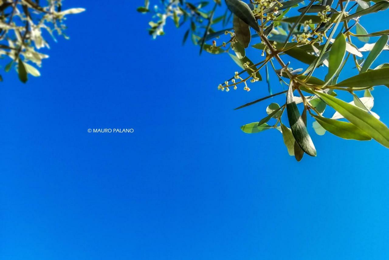 Tenuta Kyrios Borgagne Buitenkant foto